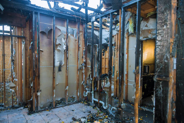 Professional Soot Cleanup technician working in Philomath, OR
